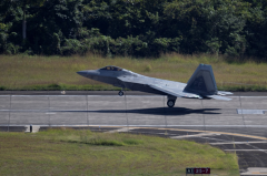 十余架“猛禽”战机撤离