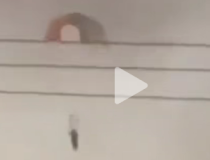 美軍公布最新傷亡數(shù)據(jù)