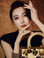 李冰冰穿黑丝绒礼裙优雅动人 身姿曼妙似画中美人