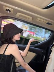 白鹿分享八月日常plog 撸猫遛狗松弛又治愈