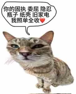 穿adi办das 城里办事引发热议