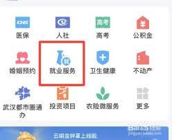 鄂汇办app如何查询高校教师资格证