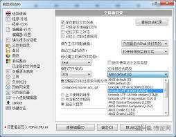 PSPad editor如何开启窗口自动保存