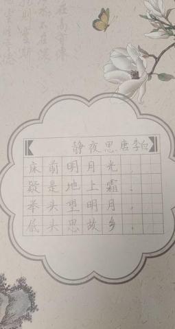 沣东新城阳光城小学-许恒睿               