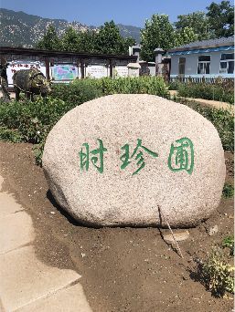 让劳动教育真实发生！海淀这所小学的做法超“接地气”