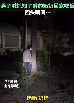 奶奶抓知了造型惊呆孙子 网友：第一次见奥特曼抓知了