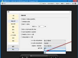 HoneyView怎么设置图片翻页效果