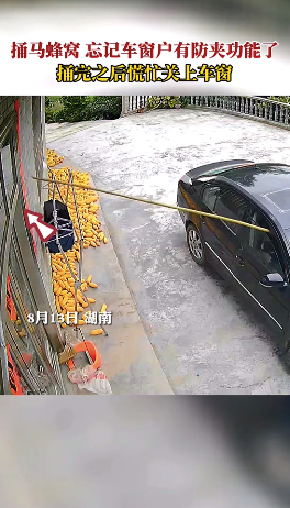男子坐在车里捅马蜂窝，忘记窗户有防夹功能，网友：机智有，但并不多