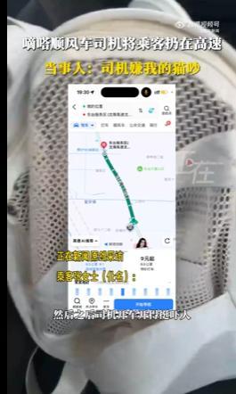 顺风车司机将乘客扔在高速 宠物猫引发争执