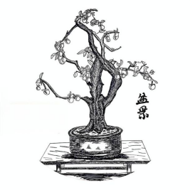 墨香飘校园 非遗驻童心