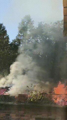 11岁的她 救了一个村