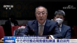 درخواست چین برای کاهش تنش و از سرگیری مذاکرات اوکراین در شورای امنیت