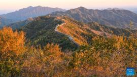 زیبایی خیره کننده دیوار بزرگ چین در طبیعت پاییزی