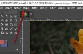 gimp怎么压缩图片