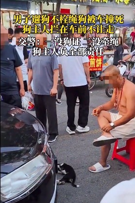 男子遛狗不拴繩狗被撞死,，攔在車前不讓走,，交警：狗主人負(fù)全責(zé)！