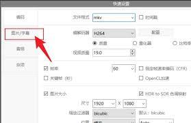 ShanaEncoder如何开启动态音频规范器功能