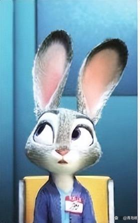 《疯狂动物城2》票房突破27亿 带动传统淡季票房狂飙