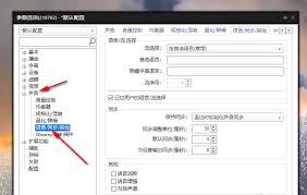 PotPlayer如何开启记忆用户语言选择