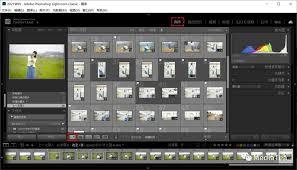 Lightroom如何关闭显示徽章