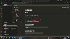 VSCode如何关闭优化样式表解析