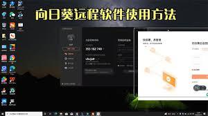 向日葵远程控制怎么清除历史记录