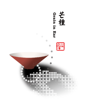 芒种 |  时雨及芒种，四野皆插秧