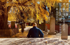 少林壁纸：处处皆禅