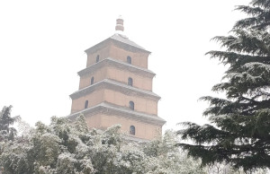 西安大慈恩寺雪似梅花，景色奇绝