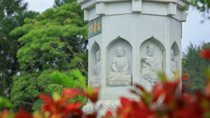百喻经｜尝庵婆罗果喻