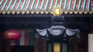 百喻经｜月蚀打狗喻