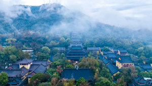 为什么许多汉传佛教寺院被称为“丛林”？