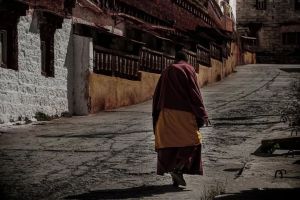 开启生命的深层意义