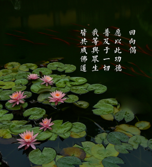 佛受六年苦行的宿世因缘