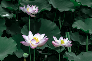 去寺院可以化妆吗？