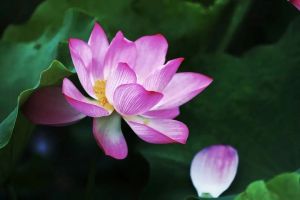 真正的成长：向内求、向前看、向阳生