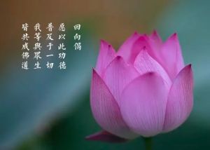 生死事大，无常迅速