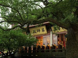 从逆境中走过来
