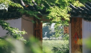 佛教中的“嗔”是什么意思？