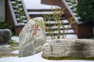 二十个基础佛教常识，你都知道吗？（四）