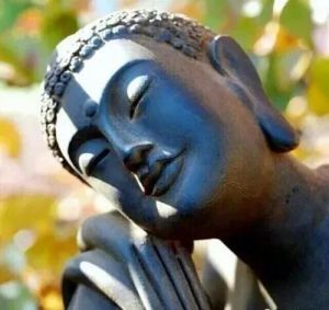 舍利弗世世意志坚定，无法动摇