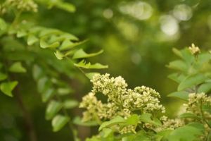 财富常在有无间变化着，不能永远拥有