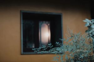 卧具的形状是什么样子的？