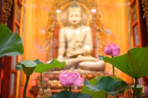 天眼第一的阿那律尊者初发心