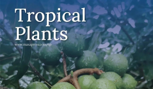 海南大学创办国际期刊《热带植物》