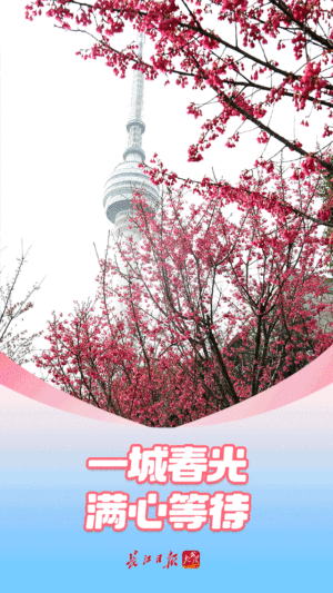 春天里,看见一个活力富足的中国