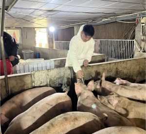 校地共育“领头雁”:李远阳扎根乡土绘就畜牧致富新图景