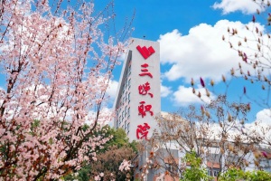 三峡职院案例入选全国高校思想政治工作优秀案例