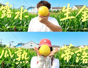一朵“云”的故事：武汉学院学子帮白水淌村播找到“新舞台”