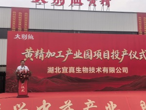 黄冈师范学院校友返乡创办黄精产业园投产，校企签约共推楚药产业高质量发展