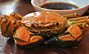 秋季螃蟹正肥美 生吃、贪吃危险多！